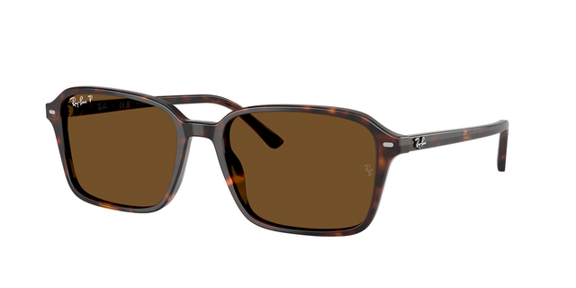 ray ban oculos de sol tortoise castanhos polarized