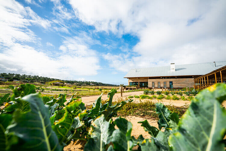 Escapadela de Outono na Quinta da Comporta: Luxo, Bem-Estar e Natureza