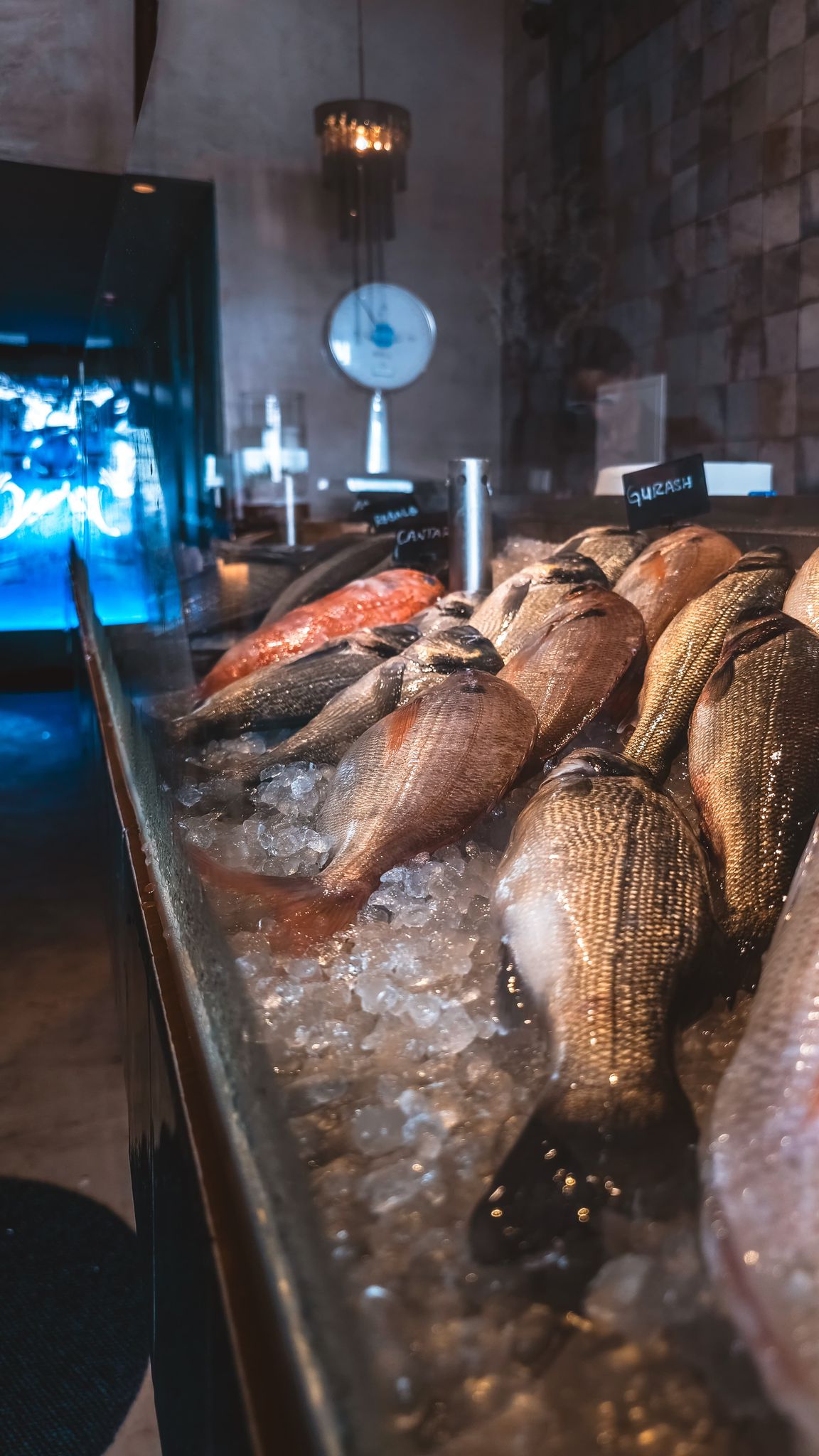 FYSH: O Novo Spot para as Mamacitas que Adoram Peixe e Marisco em Lisboa! balc&atilde;o peixe