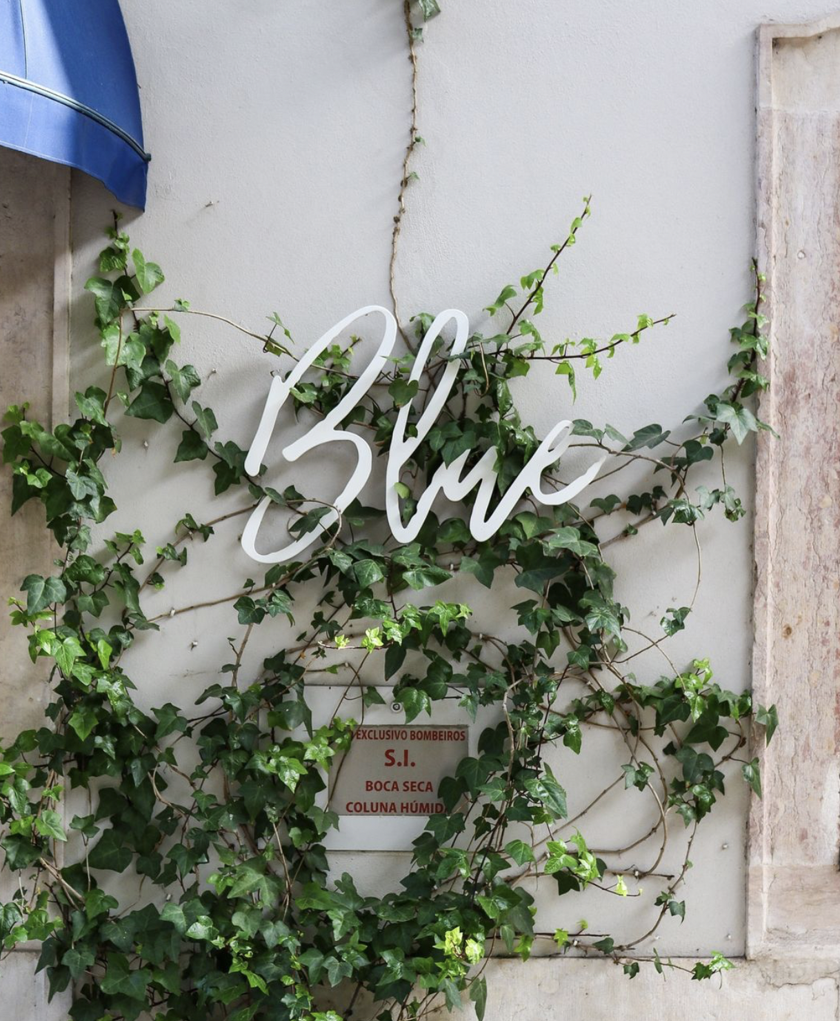 The Vintage Lisbon & Blue Bistrot: A Noite Perfeita em Lisboa neon